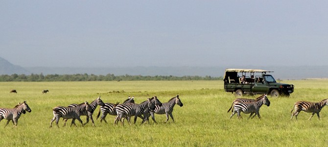Partire per un safari in Kenya Partire per un safari in Kenya