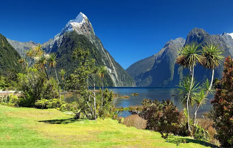Natura incotaminata in Nuova Zelanda