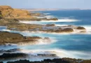 Phillip Island Australia consigli e itinerari di viaggio