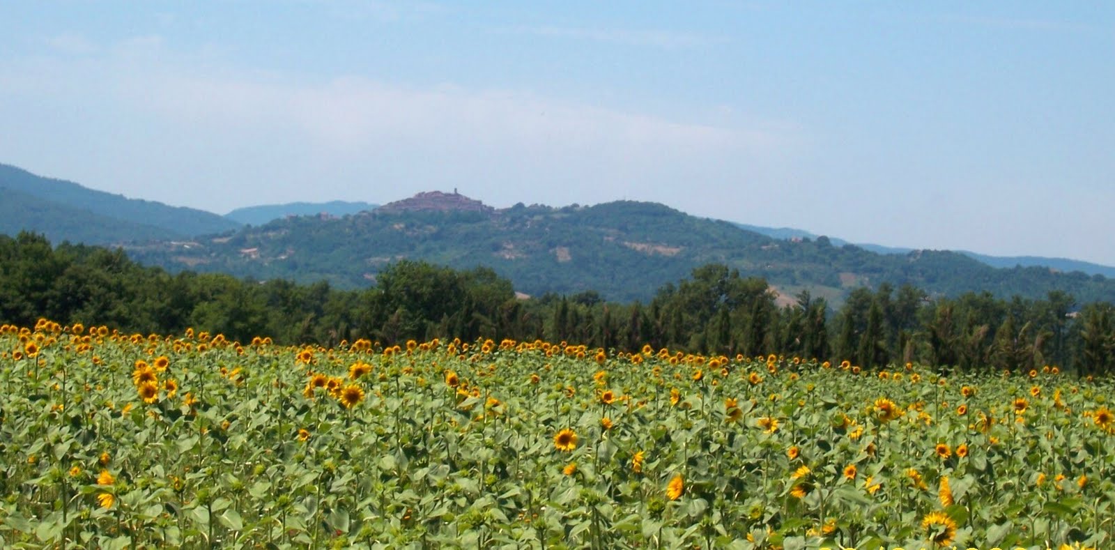 Maremma toscana